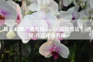 玩家必搜“德州局wepoker辅助方法”(透视)开挂详细教程