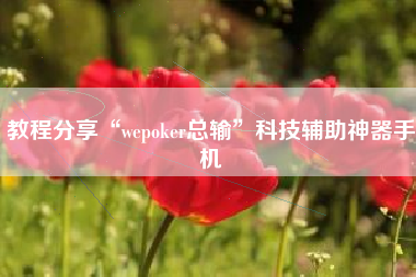 教程分享“wepoker总输”科技辅助神器手机