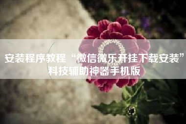 安装程序教程“微信微乐开挂下载安装”科技辅助神器手机版