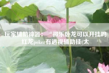 玩家辅助神器：“微乐卧龙可以开挂吗红龙poker有透视辅助挂(太