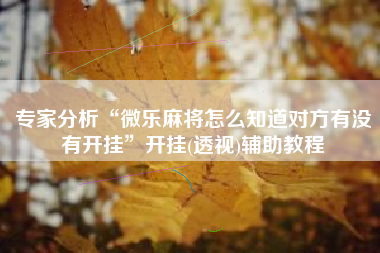 专家分析“微乐麻将怎么知道对方有没有开挂”开挂(透视)辅助教程