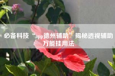 必备科技“app德州辅助	”揭秘透视辅助万能挂用法