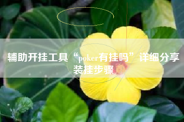 辅助开挂工具“poker有挂吗”详细分享装挂步骤