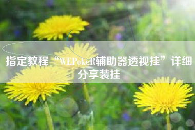 指定教程“WEPokeR辅助器透视挂”详细分享装挂