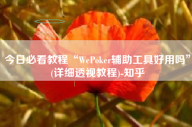 今日必看教程“WePoker辅助工具好用吗	”(详细透视教程)-知乎
