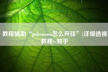教程辅助“pokemmo怎么开挂”(详细透视教程)-知乎