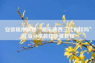 安装程序教程“微乐陕西三代有挂吗”详细分享装挂步骤教程