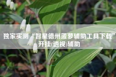 独家实测“智星德州菠萝辅助工具下载”开挂(透视)辅助