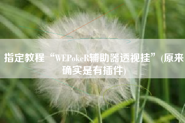 指定教程“WEPokeR辅助器透视挂	”(原来确实是有插件)