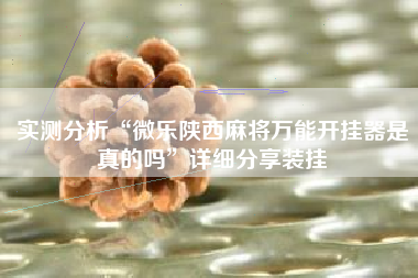 实测分析“微乐陕西麻将万能开挂器是真的吗”详细分享装挂