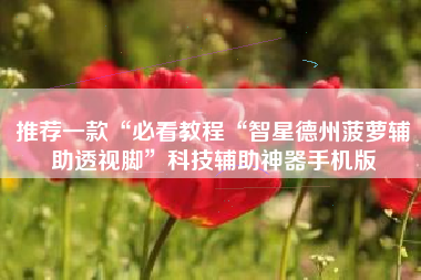 推荐一款“必看教程“智星德州菠萝辅助透视脚”科技辅助神器手机版