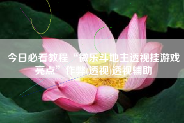 今日必看教程“微乐斗地主透视挂游戏亮点”作弊(透视)透视辅助