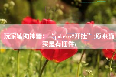 玩家辅助神器：“pokerrr2开挂	”(原来确实是有插件)