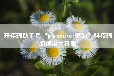 开挂辅助工具“pokermaster辅助	”科技辅助神器手机版