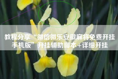 教程分享“微信微乐安徽麻将免费开挂手机版”开挂辅助脚本+详细开挂