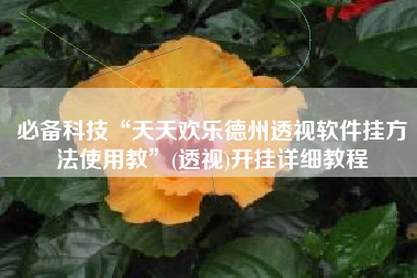 必备科技“天天欢乐德州透视软件挂方法使用教	”(透视)开挂详细教程