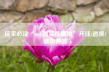 玩家必读“wpk透视挂辅助”开挂(透视)辅助神器