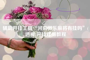 辅助开挂工具“河南微乐麻将有挂吗”(透视)开挂详细教程