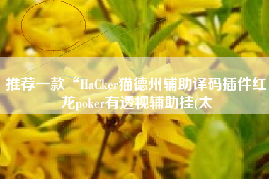 推荐一款“HaCker猫德州辅助译码插件红龙poker有透视辅助挂(太