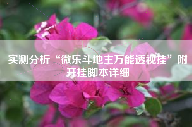 实测分析“微乐斗地主万能透视挂”附开挂脚本详细