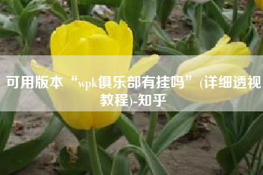 可用版本“wpk俱乐部有挂吗	”(详细透视教程)-知乎