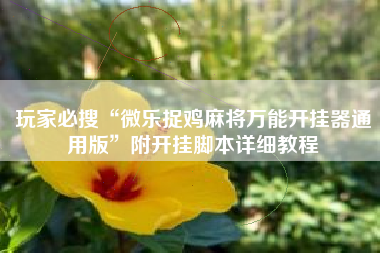 玩家必搜“微乐捉鸡麻将万能开挂器通用版”附开挂脚本详细教程