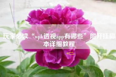 玩家必读“wpk透视app有哪些”附开挂脚本详细教程