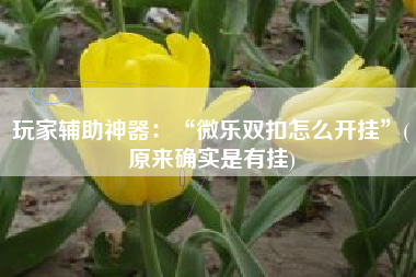 玩家辅助神器：“微乐双扣怎么开挂	”(原来确实是有挂)