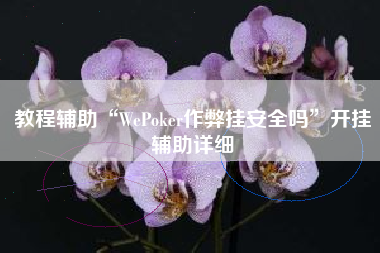 教程辅助“WePoker作弊挂安全吗”开挂辅助详细