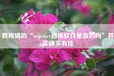 教程辅助“wepoker透视软件是真的吗”其实确实有挂
