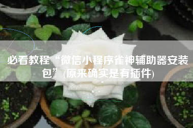 必看教程“微信小程序雀神辅助器安装包”(原来确实是有插件)