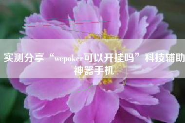 实测分享“wepoker可以开挂吗	”科技辅助神器手机