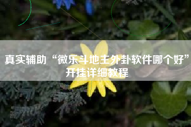 真实辅助“微乐斗地主外卦软件哪个好	”开挂详细教程