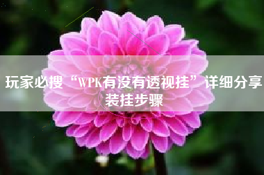玩家必搜“WPK有没有透视挂	”详细分享装挂步骤