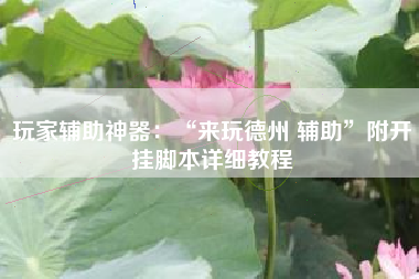 玩家辅助神器：“来玩德州 辅助”附开挂脚本详细教程