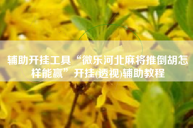 辅助开挂工具“微乐河北麻将推倒胡怎样能赢	”开挂(透视)辅助教程