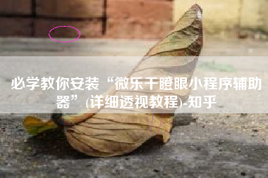 必学教你安装“微乐干瞪眼小程序辅助器	”(详细透视教程)-知乎