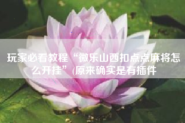 玩家必看教程“微乐山西扣点点麻将怎么开挂”(原来确实是有插件