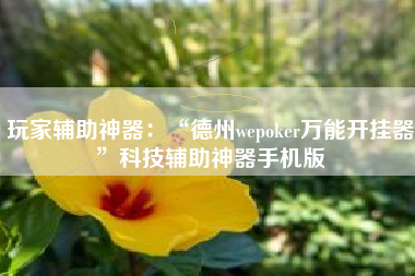 玩家辅助神器：“德州wepoker万能开挂器”科技辅助神器手机版