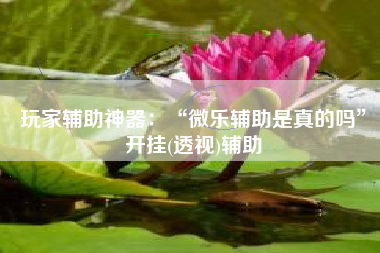 玩家辅助神器：“微乐辅助是真的吗	”开挂(透视)辅助