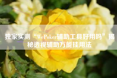 独家实测“WePoker辅助工具好用吗	”揭秘透视辅助万能挂用法