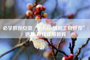 必学教你安装“WePoker辅助工具推荐”(透视)开挂详细教程