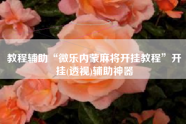 教程辅助“微乐内蒙麻将开挂教程”开挂(透视)辅助神器