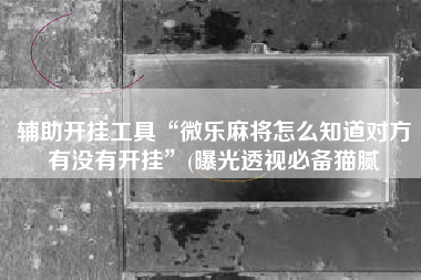 辅助开挂工具“微乐麻将怎么知道对方有没有开挂”(曝光透视必备猫腻