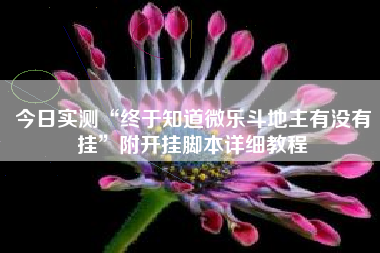 今日实测“终于知道微乐斗地主有没有挂”附开挂脚本详细教程