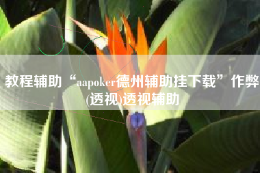 教程辅助“aapoker德州辅助挂下载”作弊(透视)透视辅助