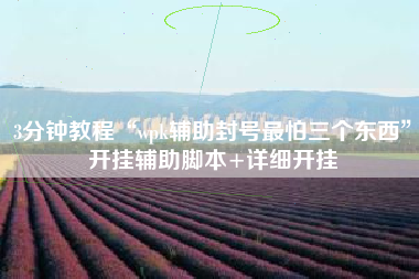 3分钟教程“wpk辅助封号最怕三个东西”开挂辅助脚本+详细开挂