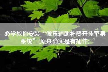 必学教你安装“微乐辅助神器开挂苹果系统	”(原来确实是有插件)
