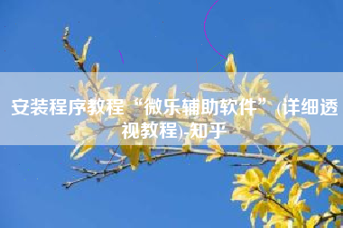 安装程序教程“微乐辅助软件”(详细透视教程)-知乎