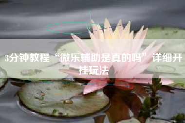 3分钟教程“微乐辅助是真的吗	”详细开挂玩法